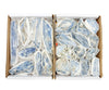 Blue Kyanite Crystal Blade