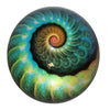 Elegant Nautilus Art Glass Paperweight featuring a vibrant spiral design, perfect for any decor. Ideal gift choice.