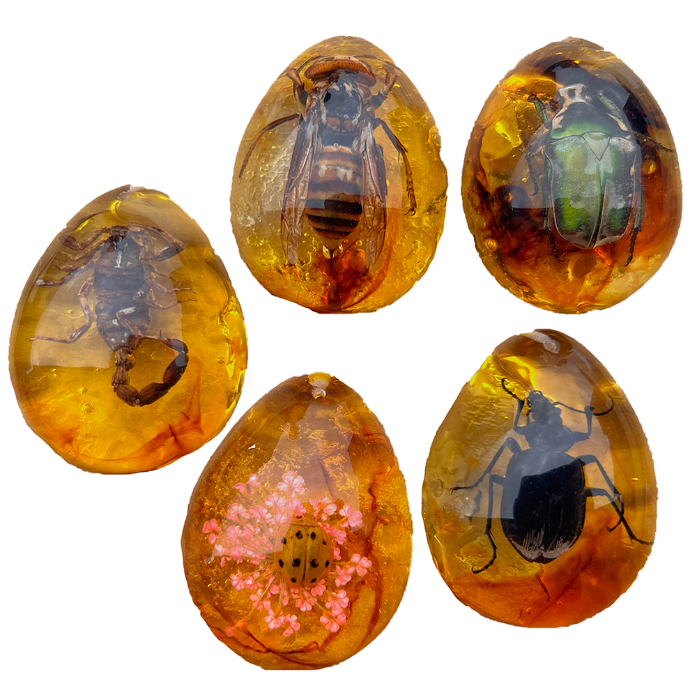 Insects in Amber, Natural Bug