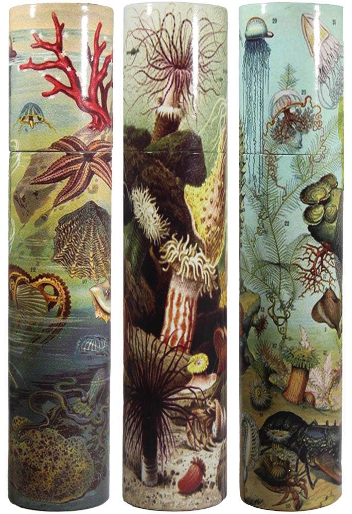Vintage Sea Life Tube Matchbox