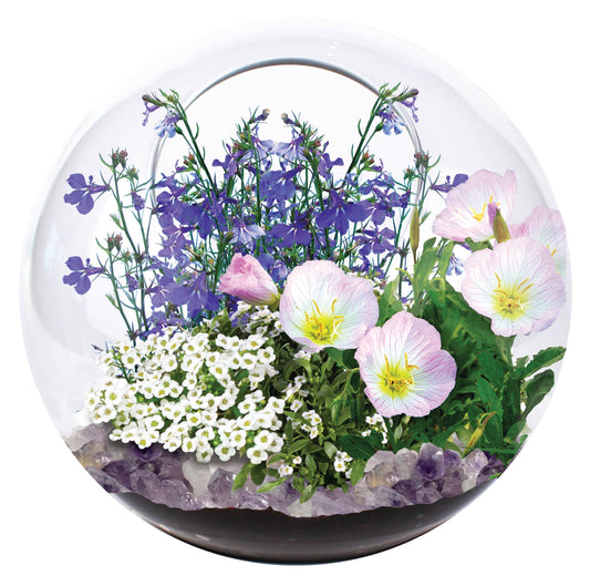 Mini Fairy Triad Glass Terrarium