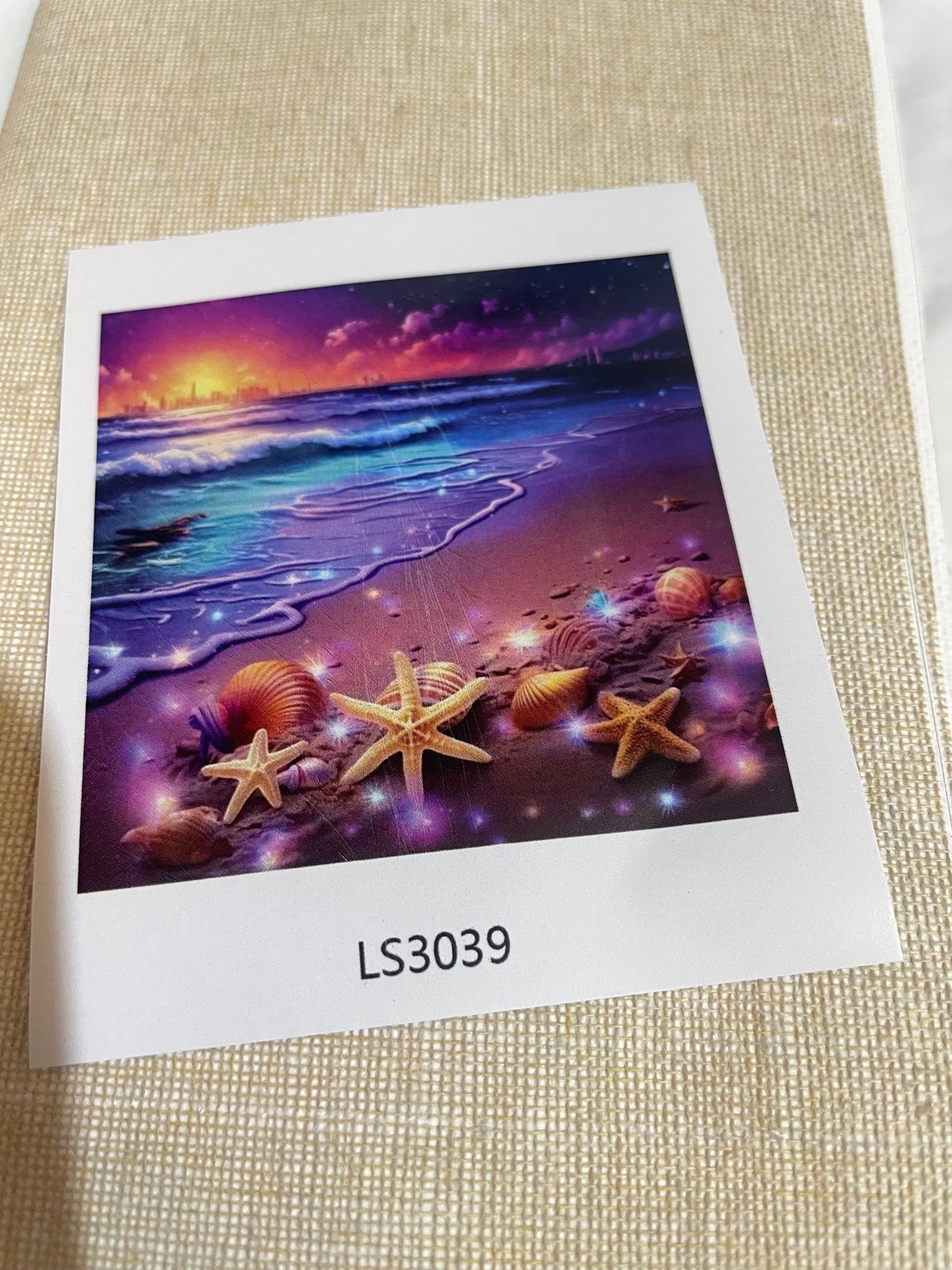 Sea Shells on the Beach Paint by Number Kit for Beginners and Hobbyists