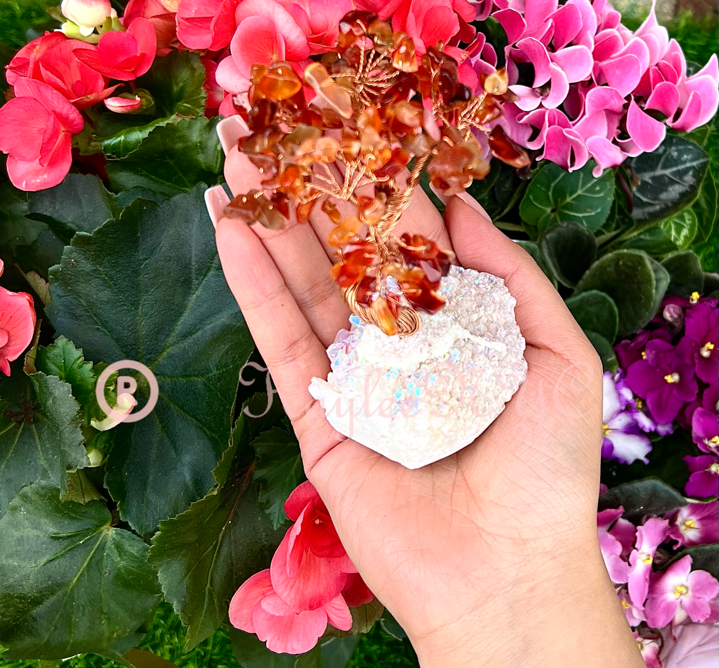 Wholesale Lot 5 Pcs Bonsai Tree with Angel Aura Base Crystal