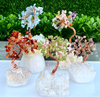 Wholesale Lot 5 Pcs Bonsai Tree with Angel Aura Base Crystal