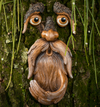 Tree Faces Bird feed
