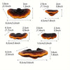 Handmade Mushroom Resin Shelves For Home Decor Art Pieces