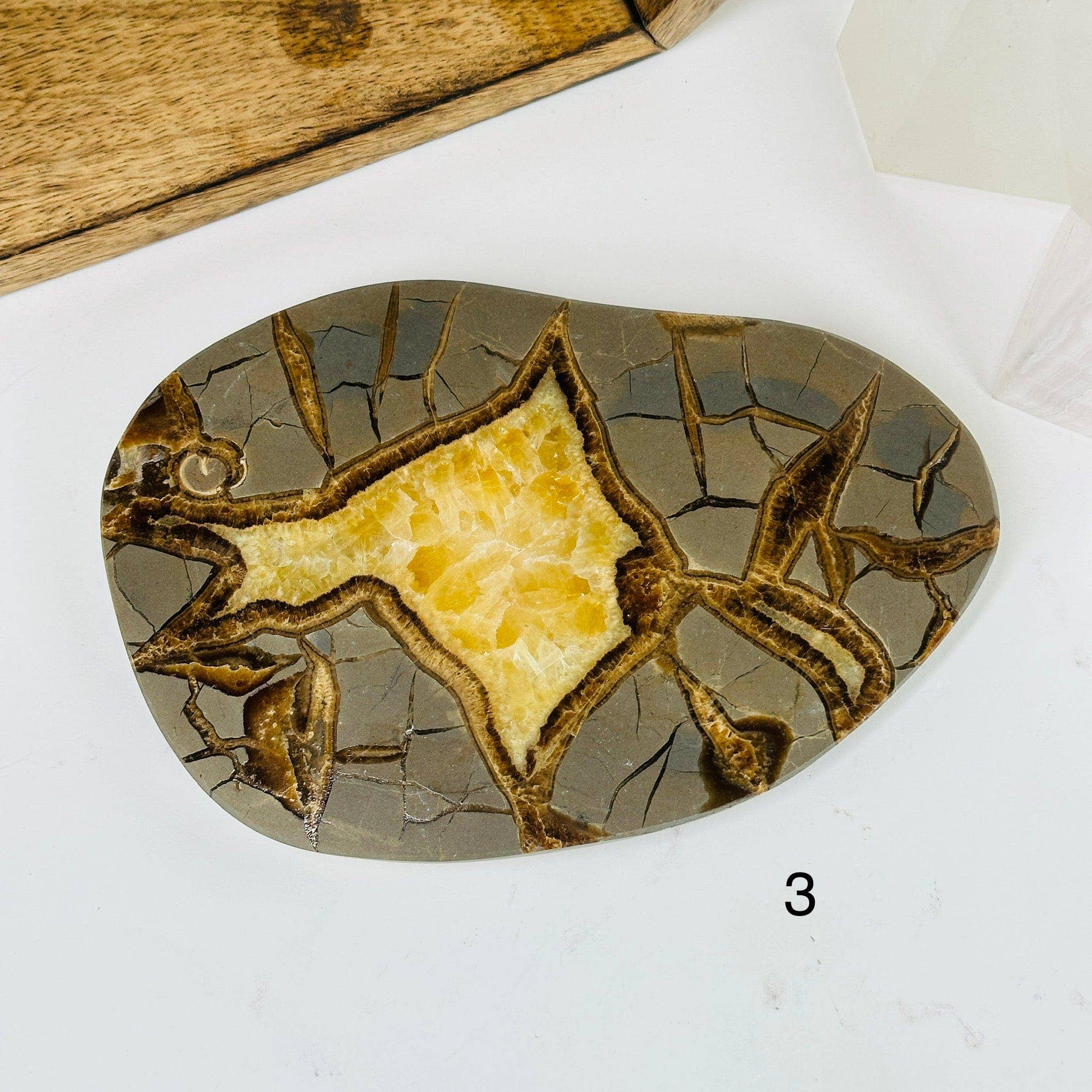 Unique Utah Septarian Crystal Slab showcasing stunning patterns of calcite and aragonite, perfect for any collection.