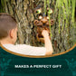 Tree Face bird feeder
