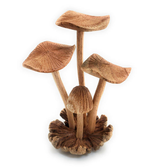 Hand Carved Medium Wooden Mushroom