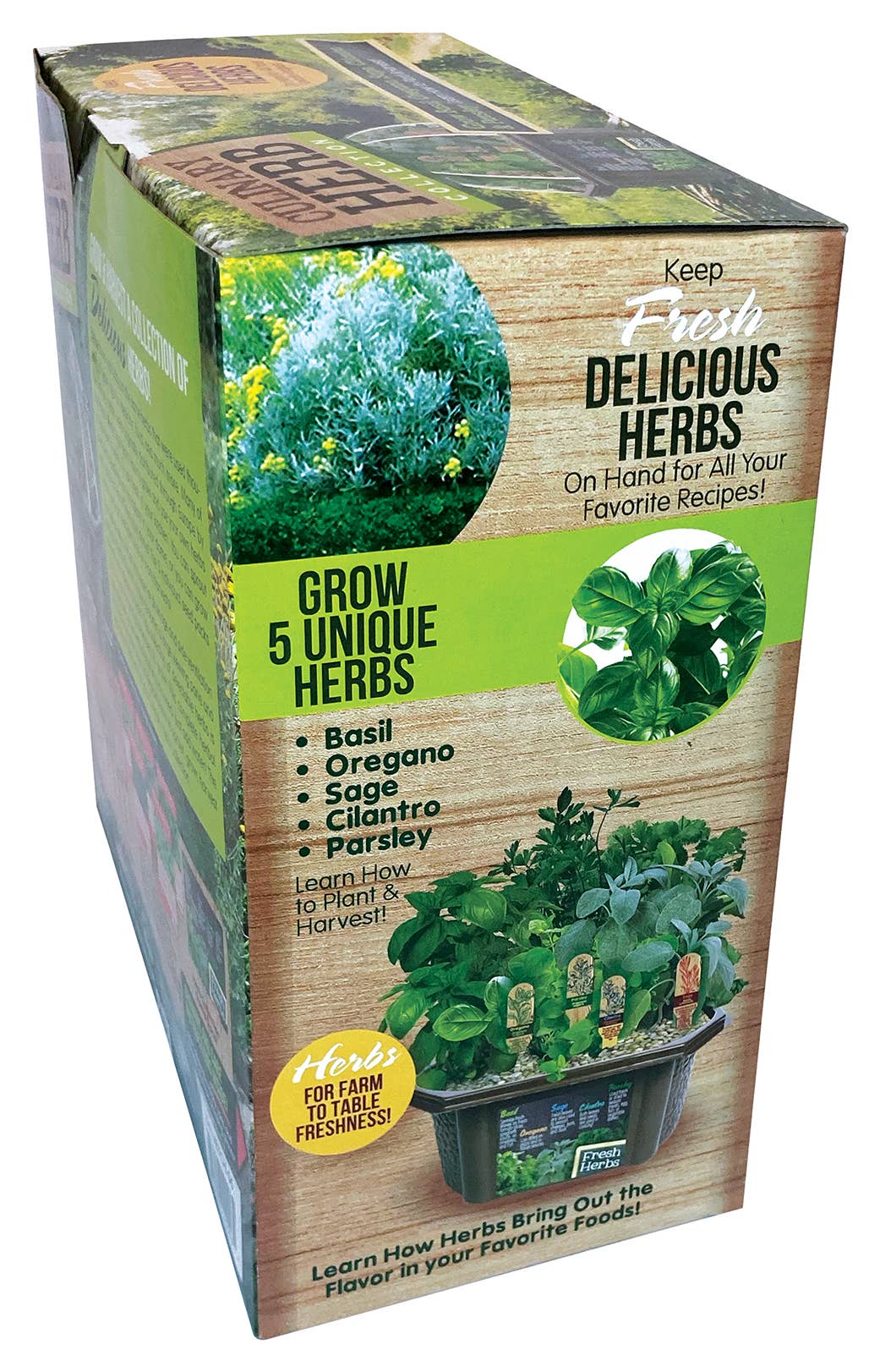 Culinary Herb Collection
