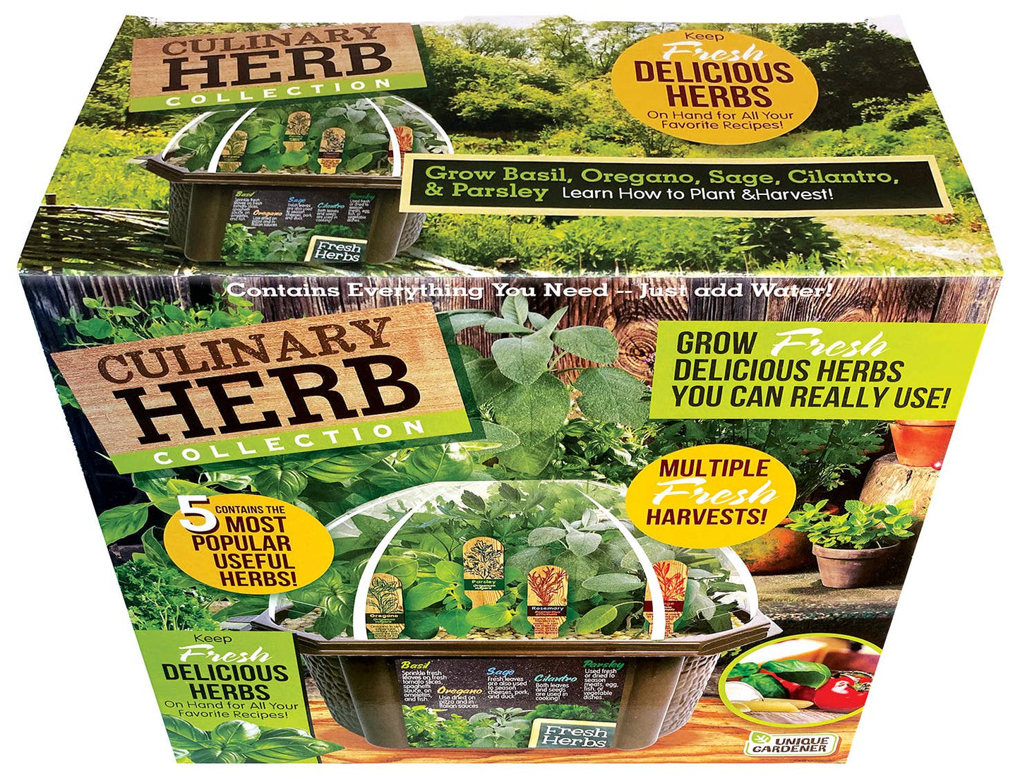 Culinary Herb Collection