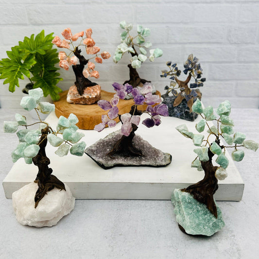 Enchant your space with Crystal Trees - Gemstone Crystal Trees with Crystal Stone B, available in vibrant styles.