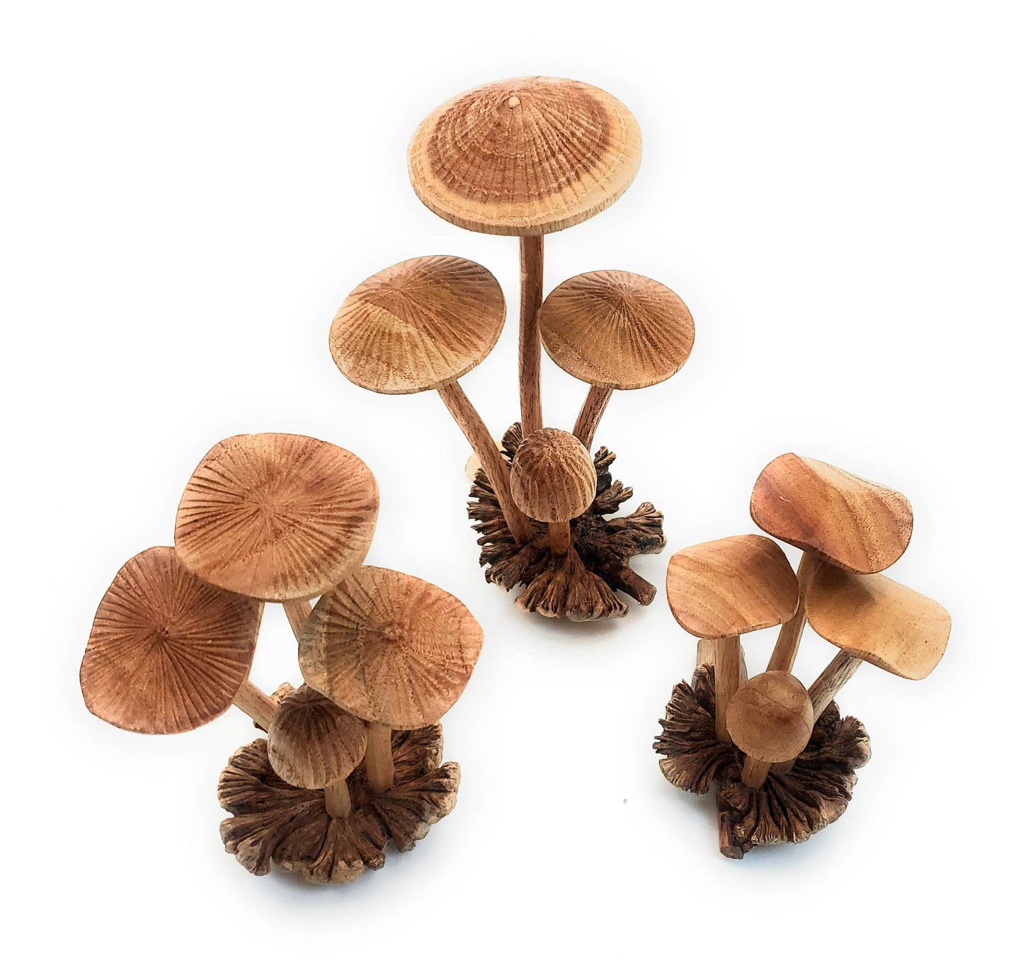 Hand Carved Medium Wooden Mushroom