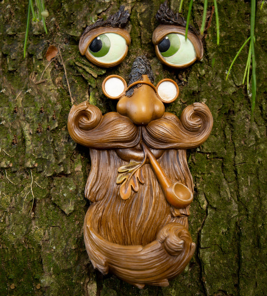 Tree Face bird feeder