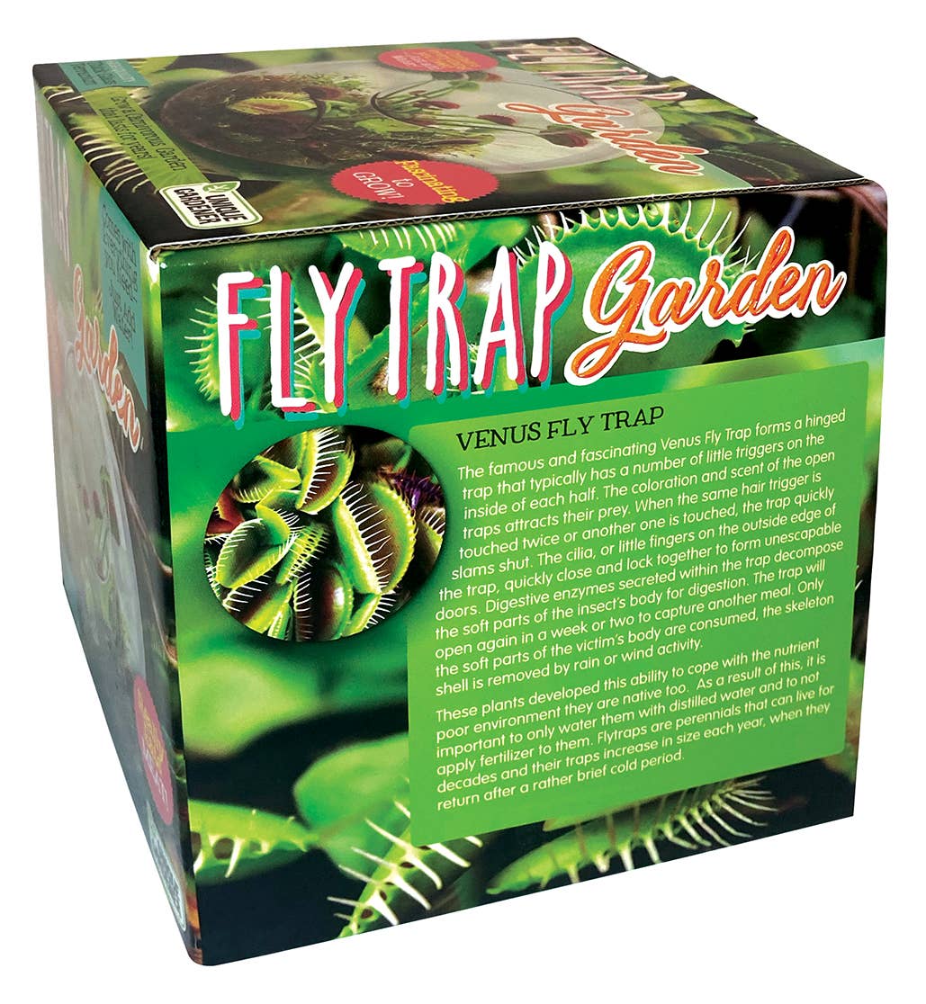 Flytraps Glass Terrarium