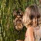 Tree Faces Bird feed