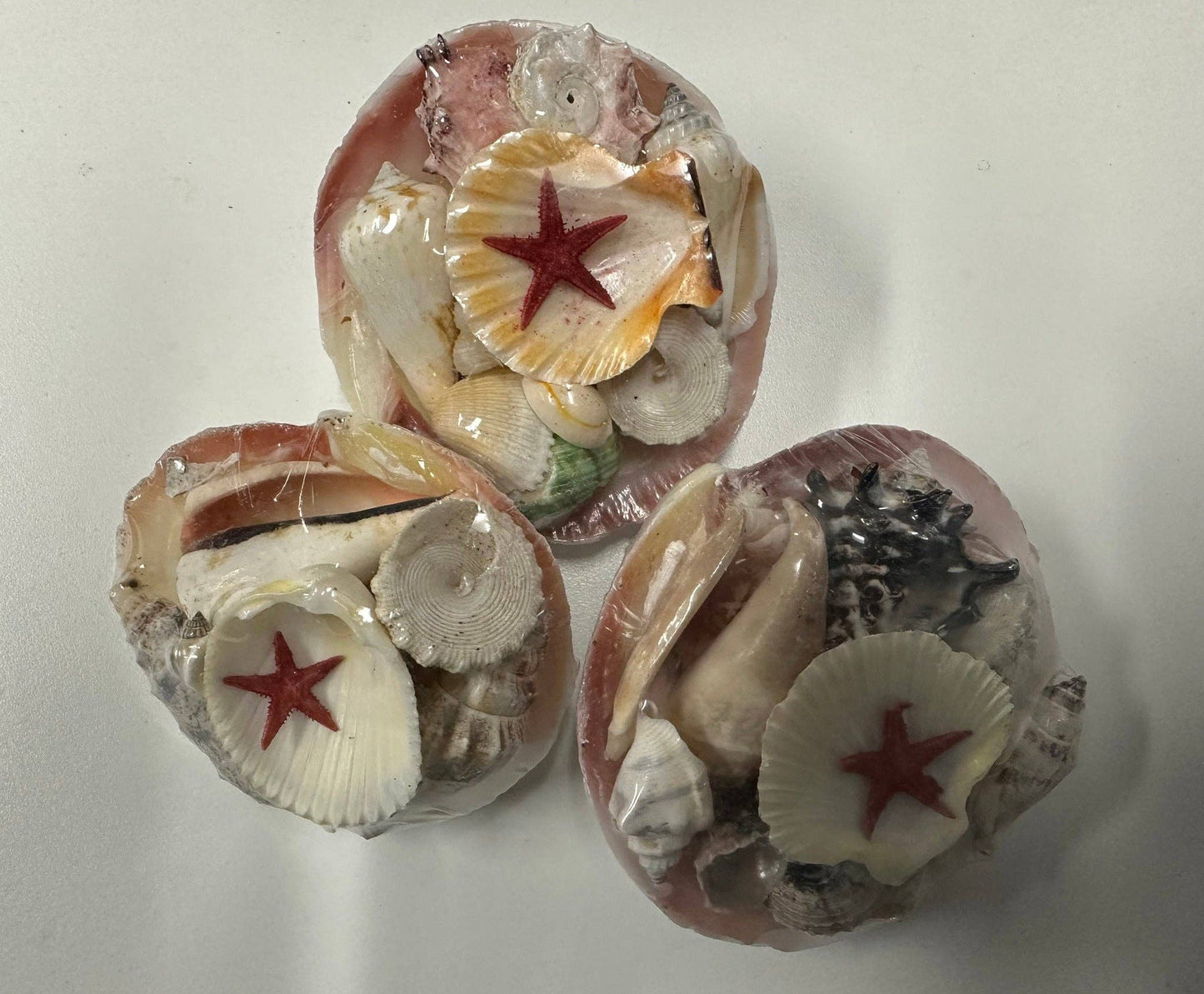 Tiger Clam Shell Pack