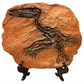 Dinosaur Prehistoric Skeleton Plaque w/ Holder