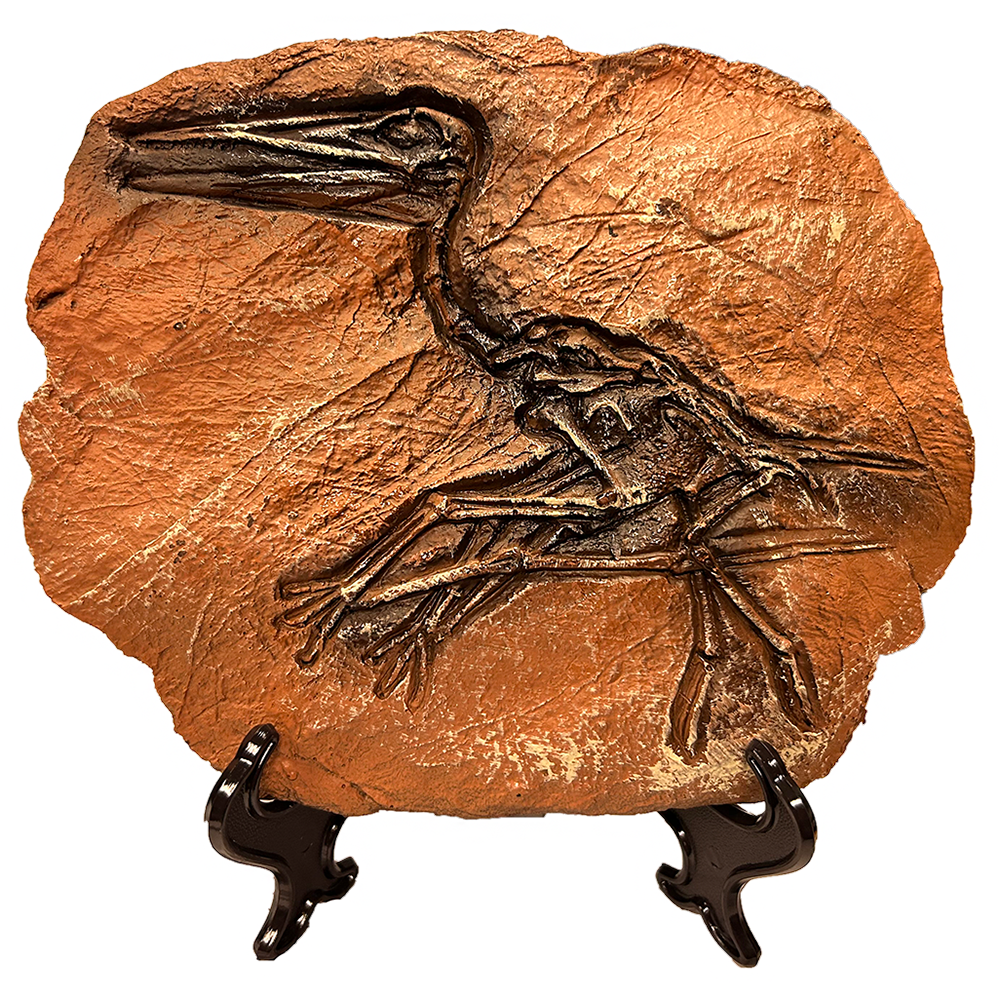 Dinosaur Prehistoric Skeleton Plaque w/ Holder