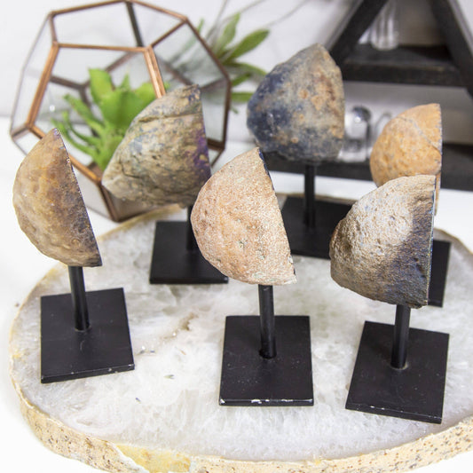 Rainbow Titanium Aura Geode Crystal on Stand showcasing vibrant hues, perfect for adding positive energy to any space.