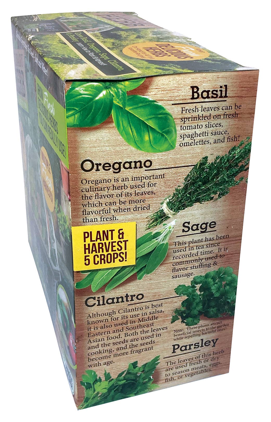 Culinary Herb Collection