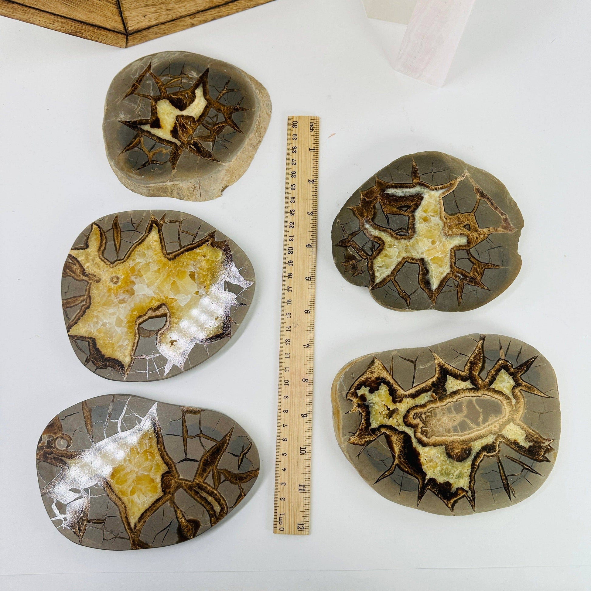 Discover the unique patterns of our Utah Septarian Crystal Slab, perfect for adding geological glamour to any collection.