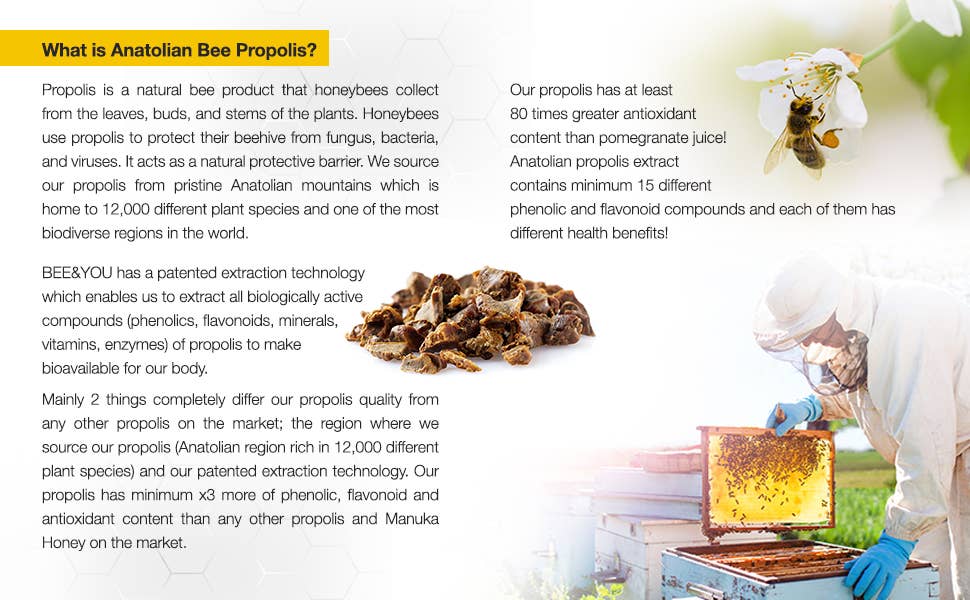 Propolis Raw Honey Throat Spray, 1 fl oz