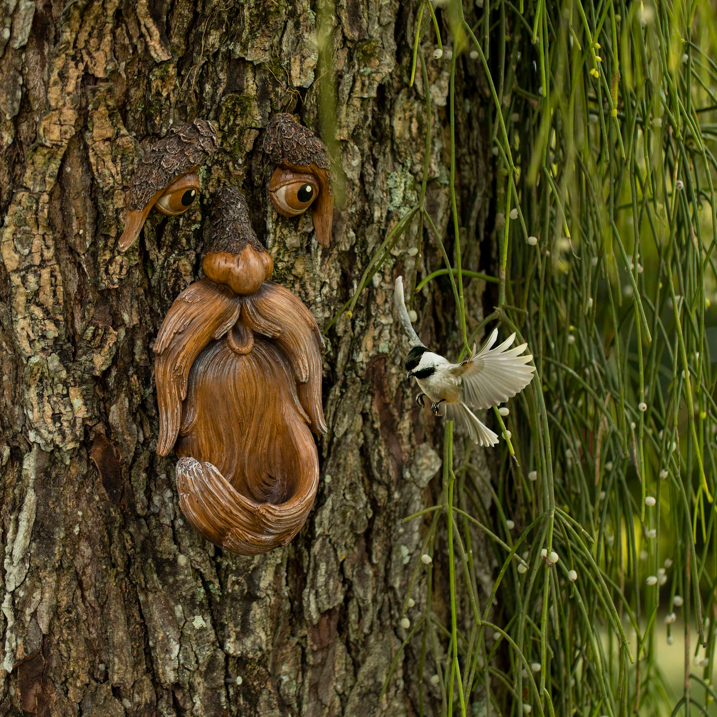 Tree Faces Bird feed