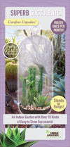 Superb Succulents Carefree Capsule Glass Terrarium
