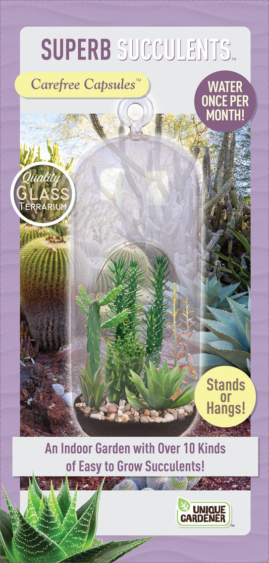 Superb Succulents Carefree Capsule Glass Terrarium