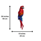 Macaw 3D PaperCraft Origami Wall Art