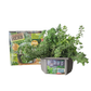 Culinary Herb Collection
