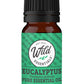 Essential Oil - Eucalyptus - 10ml Bottle