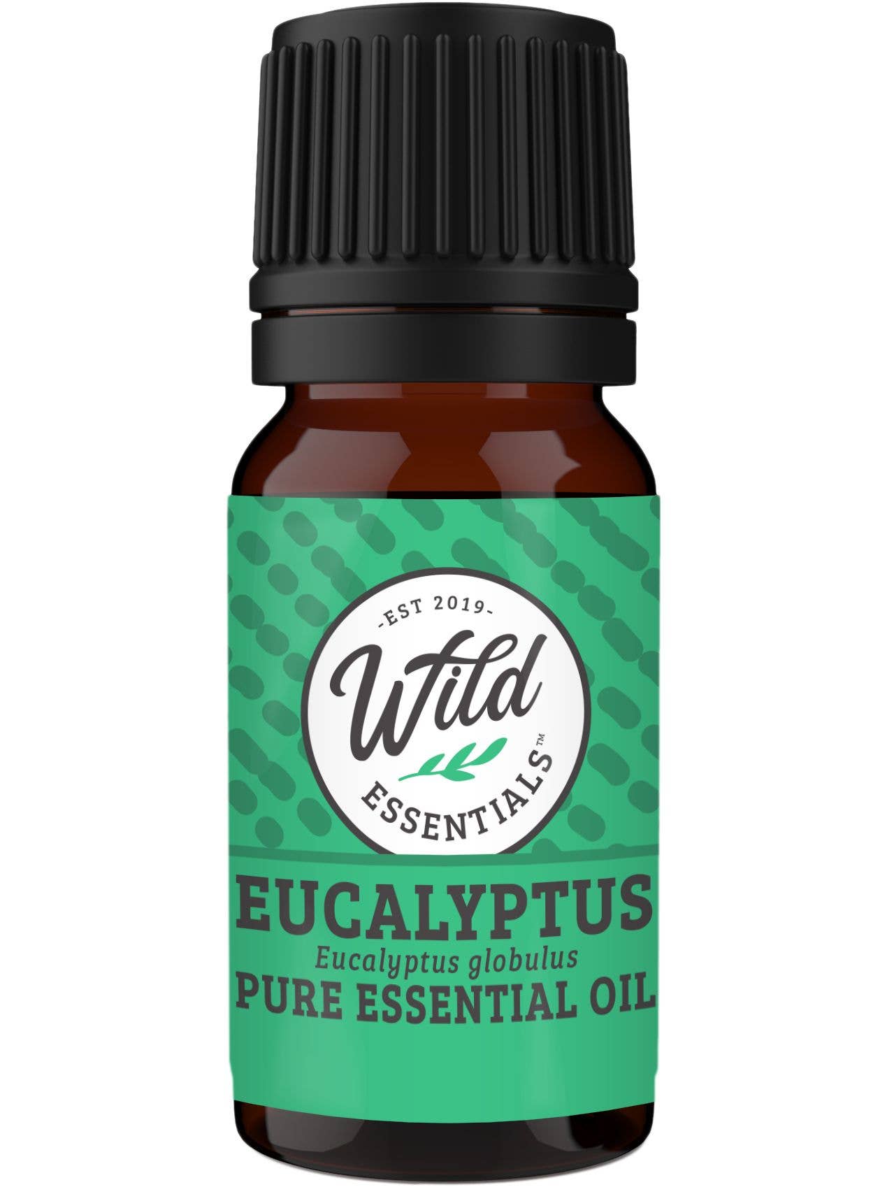Essential Oil - Eucalyptus - 10ml Bottle
