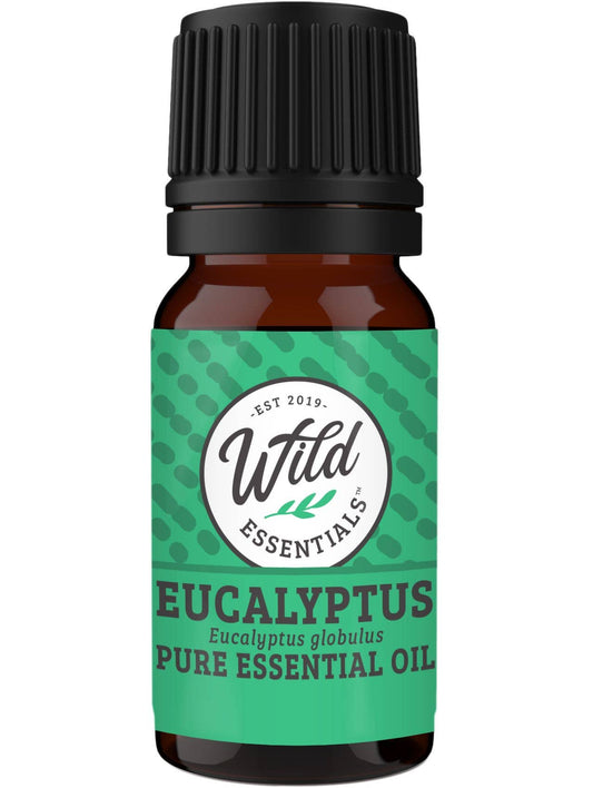 Essential Oil - Eucalyptus - 10ml Bottle