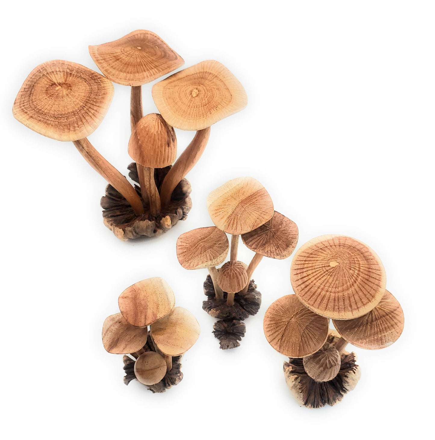 Hand Carved Medium Wooden Mushroom