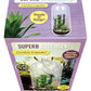 Superb Succulents Carefree Capsule Glass Terrarium