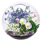 Mini Fairy Triad Glass Terrarium