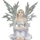 Winter Fairy