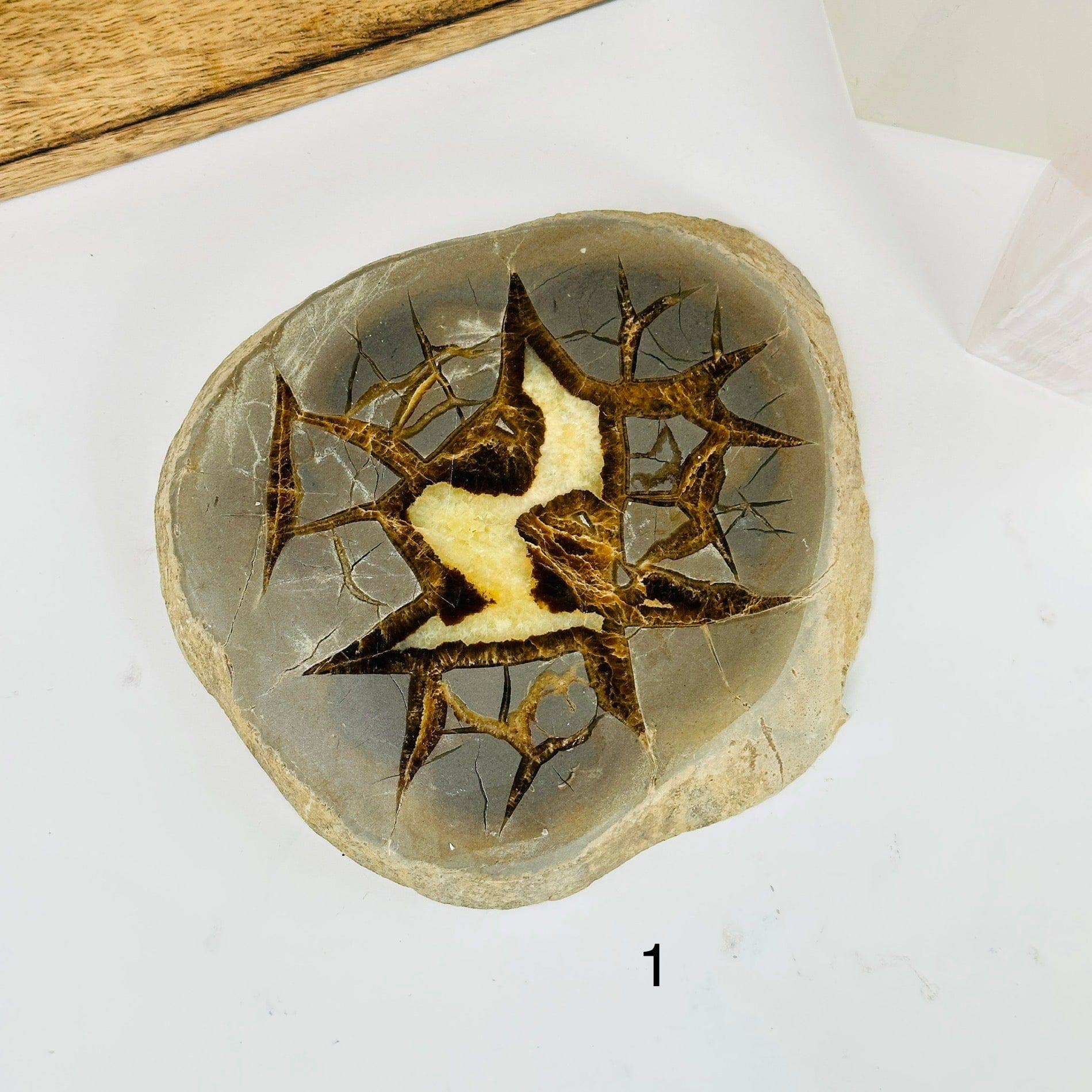 Utah Septarian Crystal Slab showcasing unique angular cracks and vibrant patterns, perfect for any crystal collection.