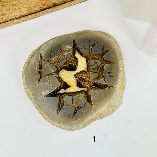 Utah Septarian Crystal Slab showcasing unique angular cracks and vibrant patterns, perfect for any crystal collection.