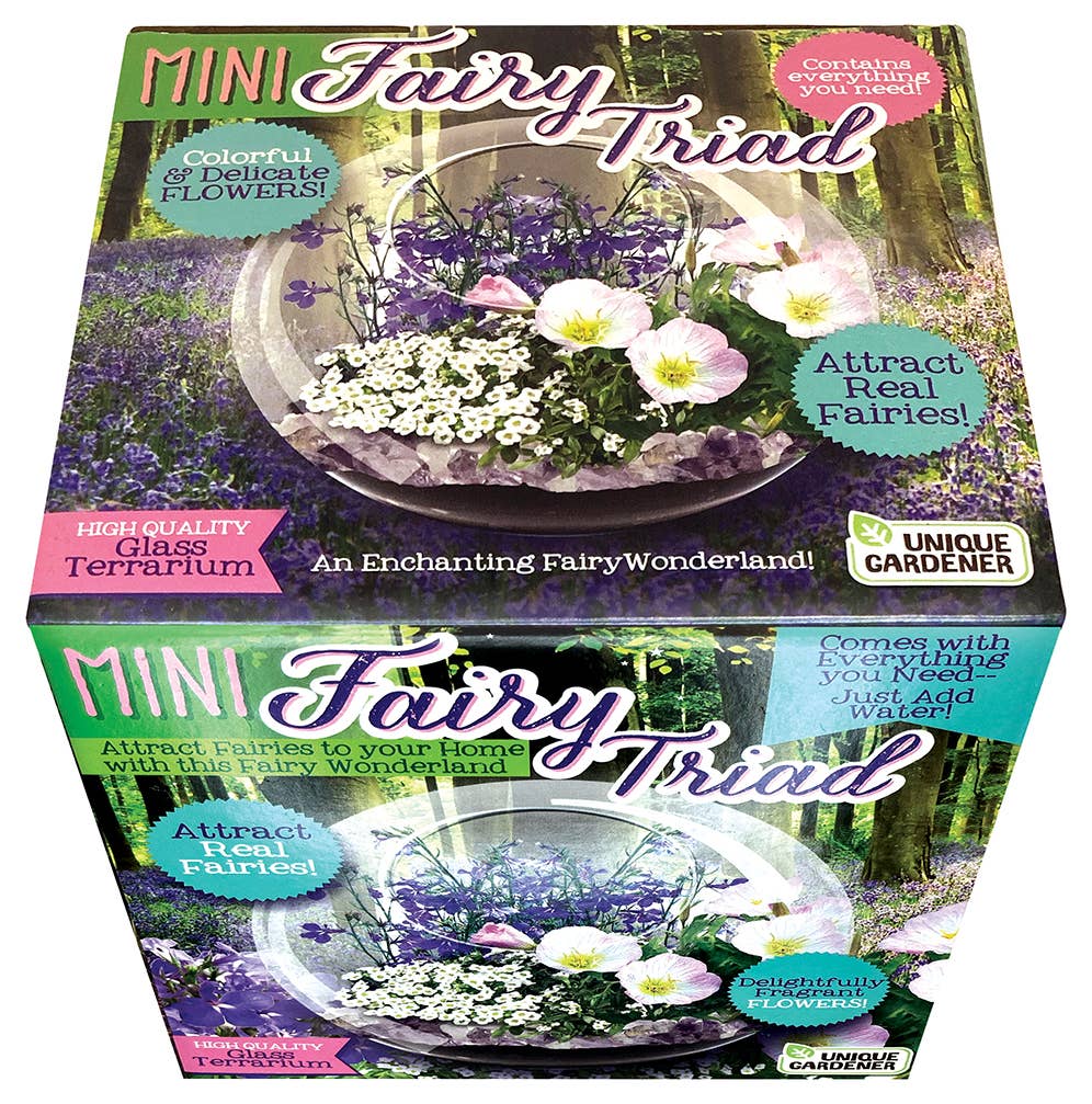 Mini Fairy Triad Glass Terrarium