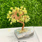 Wholesale Lot 5 Pcs Bonsai Tree with Angel Aura Base Crystal