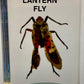 Authentic Insect Specimens in Resin