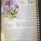 Herbal Grimoire Herbal Magic Herbs For Spell Work Rituals