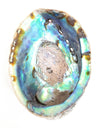 Abalone Shell