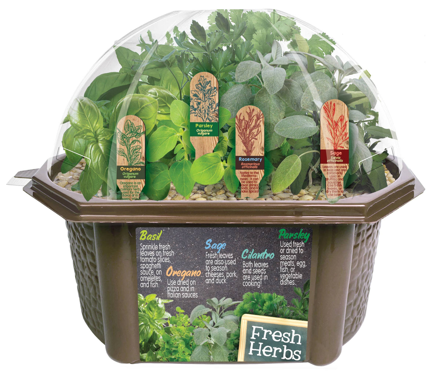 Culinary Herb Collection
