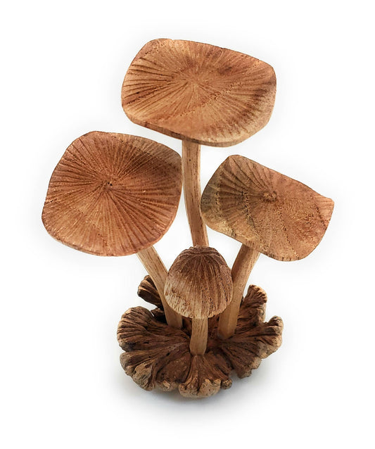 Hand Carved Medium Wooden Mushroom