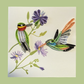 Hummingbird Quilled Greeting Card