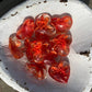 Floral Glass Pocket Hearts w/Heart Bowl Display- Large (100)
